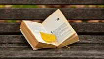 How to Find a Chemistry Book Novel That Will Spark Your Interest
